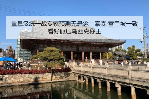 重量级统一战专家预测无悬念，泰森·富里被一致看好碾压乌西克称王